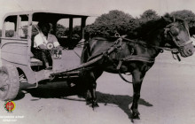 Andong (carriage) was pulled by a horse. It was a vehicle office of Gunungkidul local government in 1952